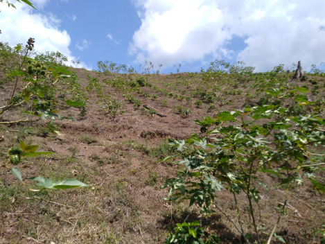 rainforest renewable energy community