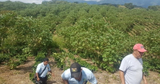 rainforest renewable energy community